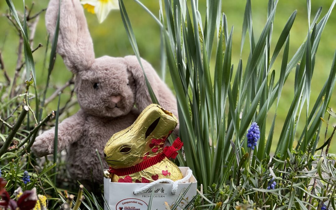 Osterhasi im Einsatz