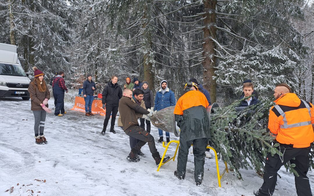 Weihnachtsbaumschlagen für den Adventsmarkt