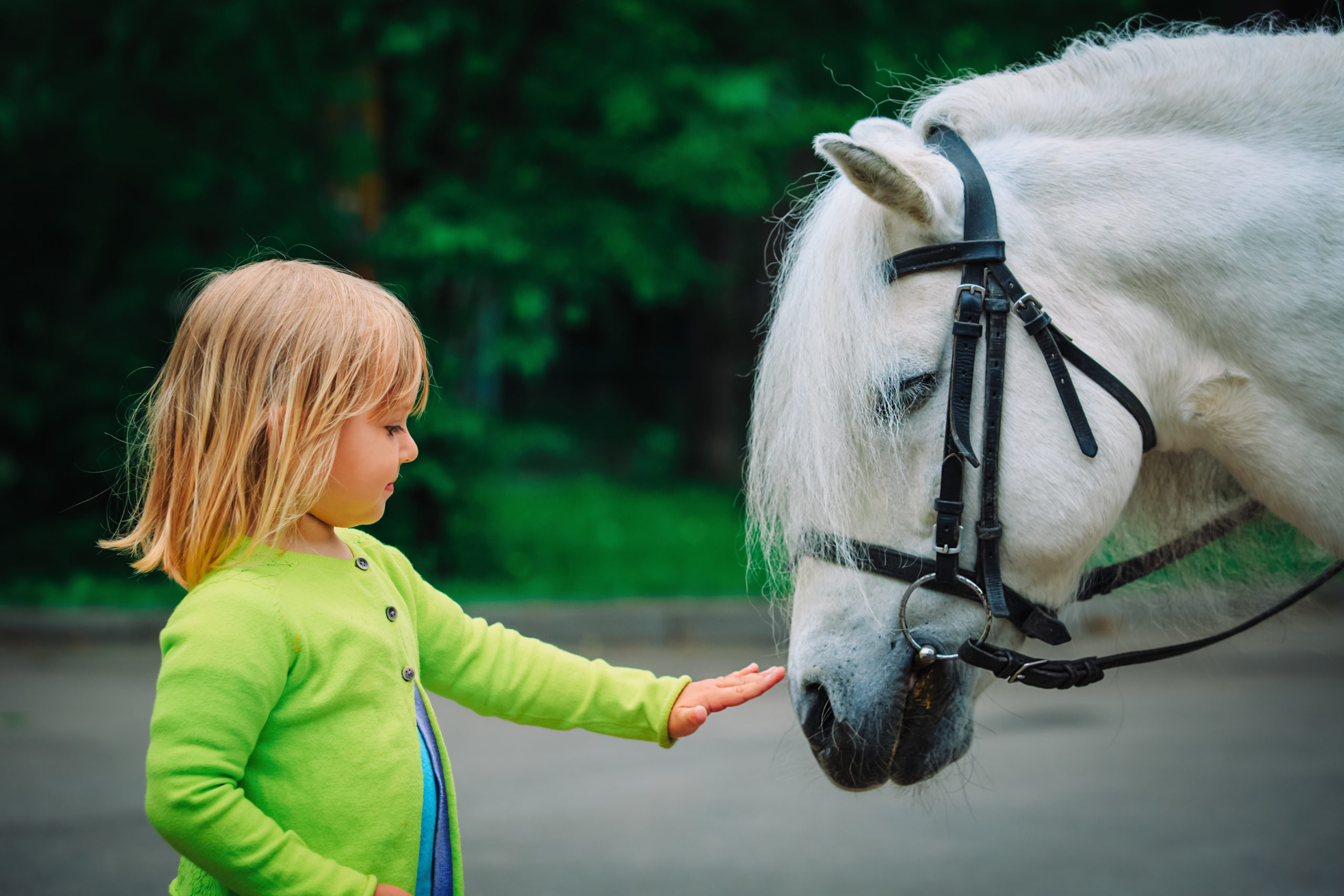 little girl touching big horse in nature